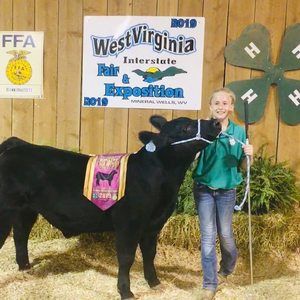 Meet your Posher, Hollie